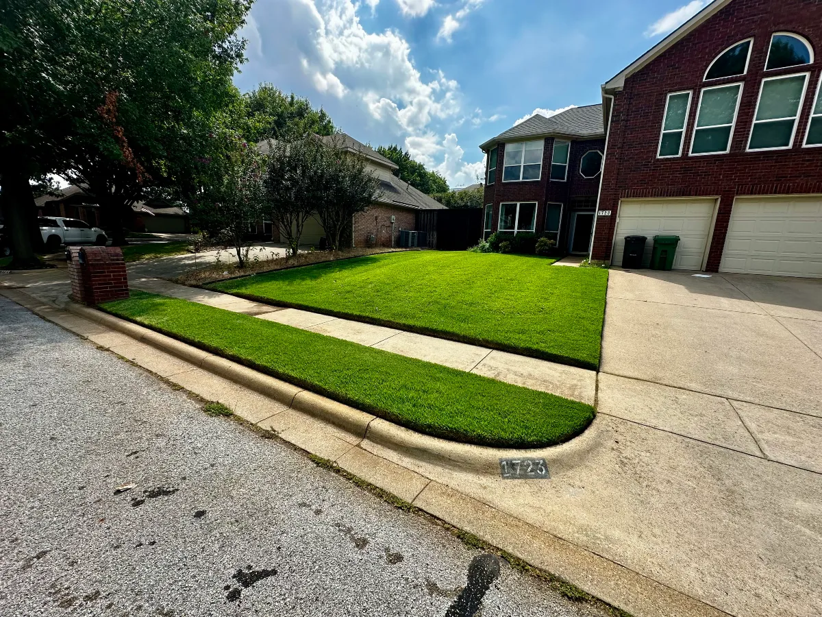 Freshly maintained residential lawn with clean edging along the sidewalk