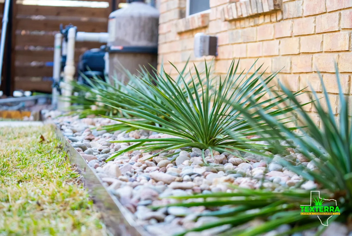 Drought-tolerant landscape bed with ornamental plants and decorative white rock