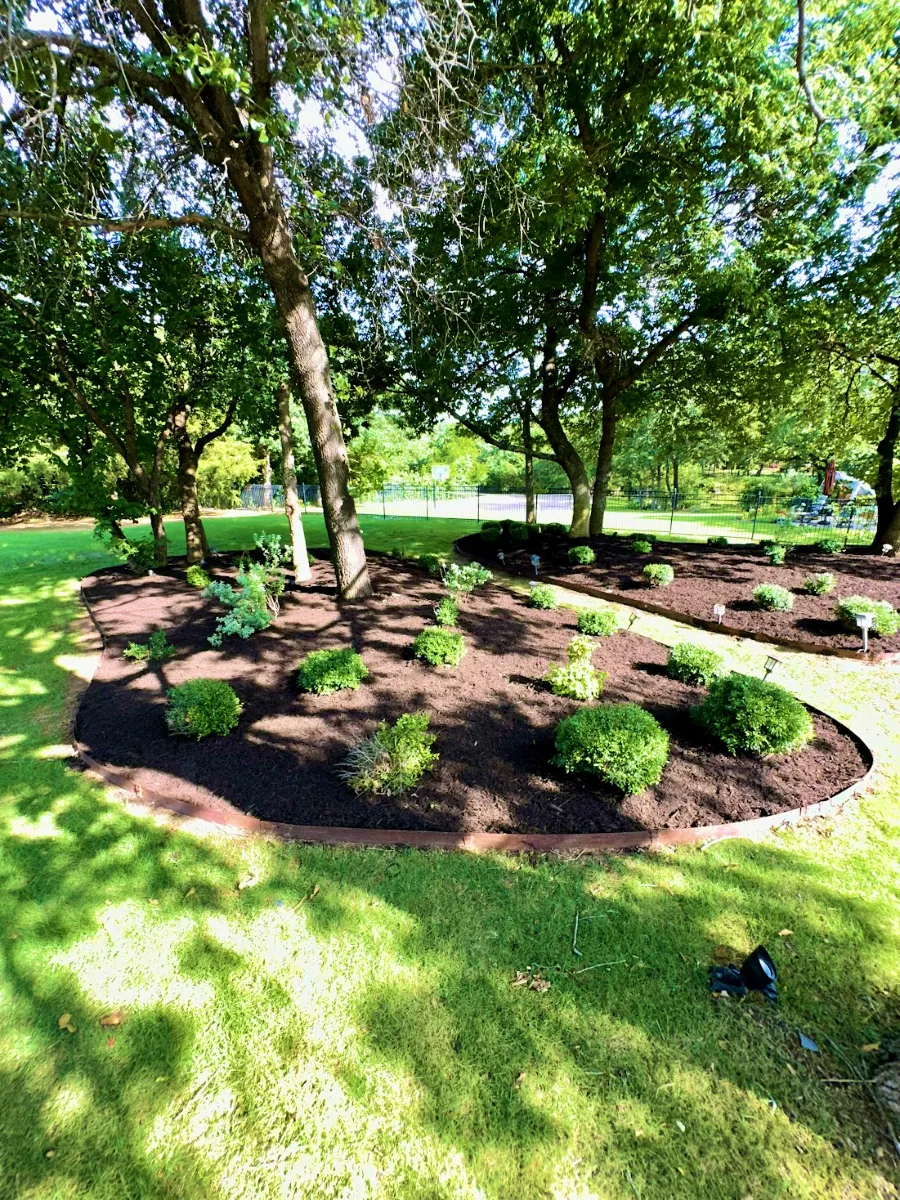 Landscaped garden bed with trees, shrubs, fresh mulch, and curved edging