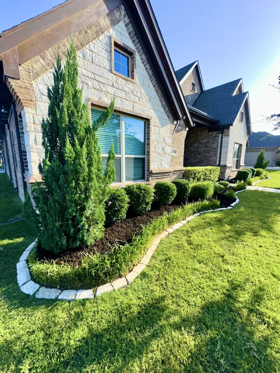 Residential foundation landscaping with trimmed shrubs and fresh mulch