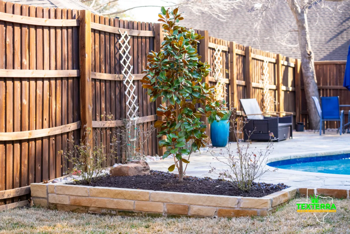 Backyard landscape installation with young trees and plants along a wooden fence