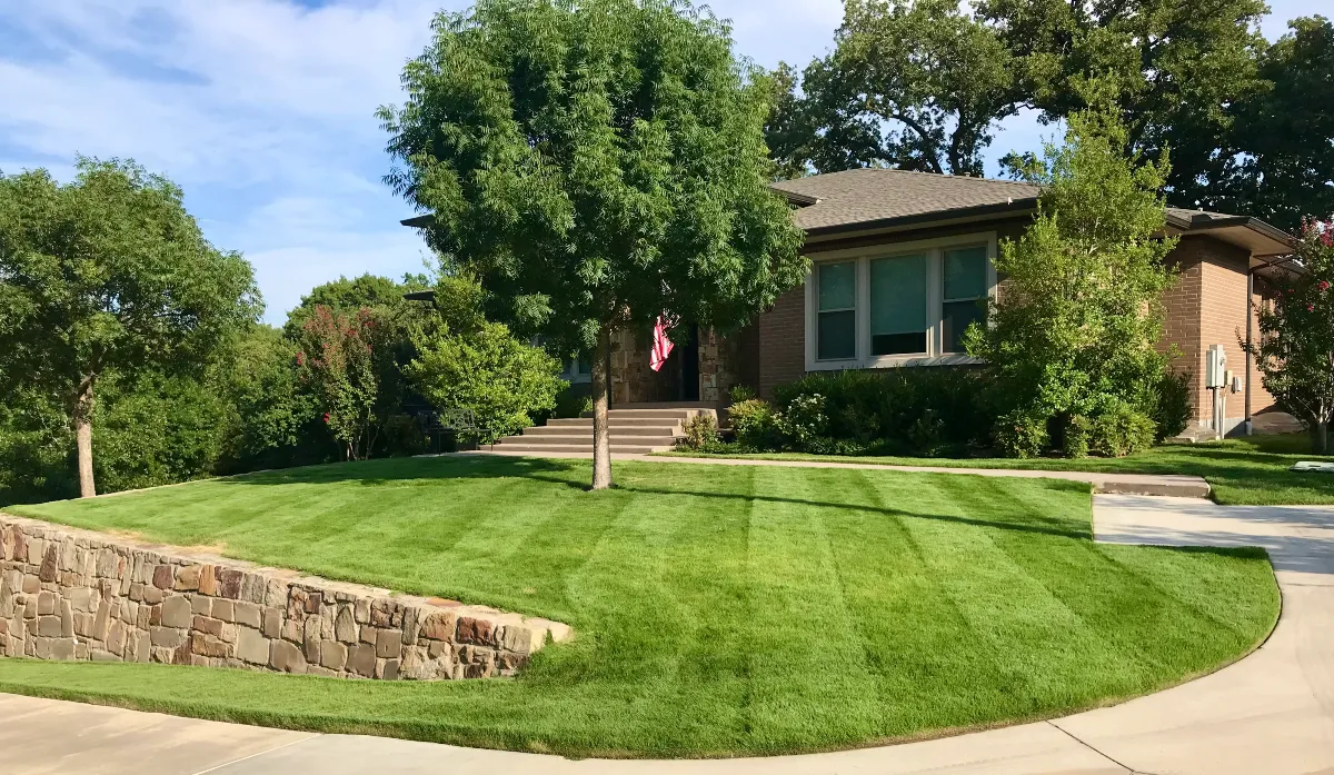 Professionally maintained front lawn with striped mowing pattern and mature trees