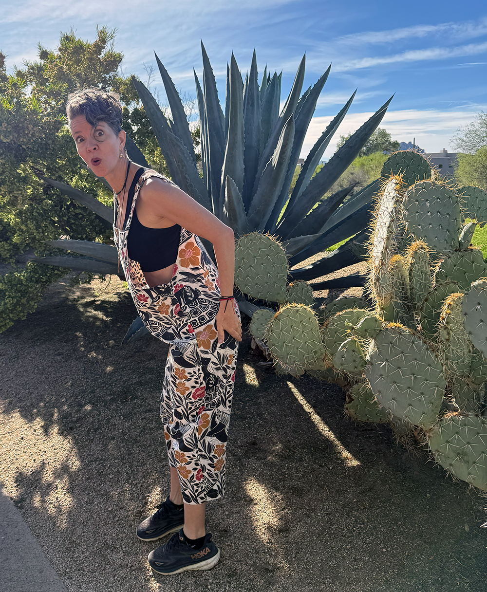 image of tailor tools arranged on a workspace