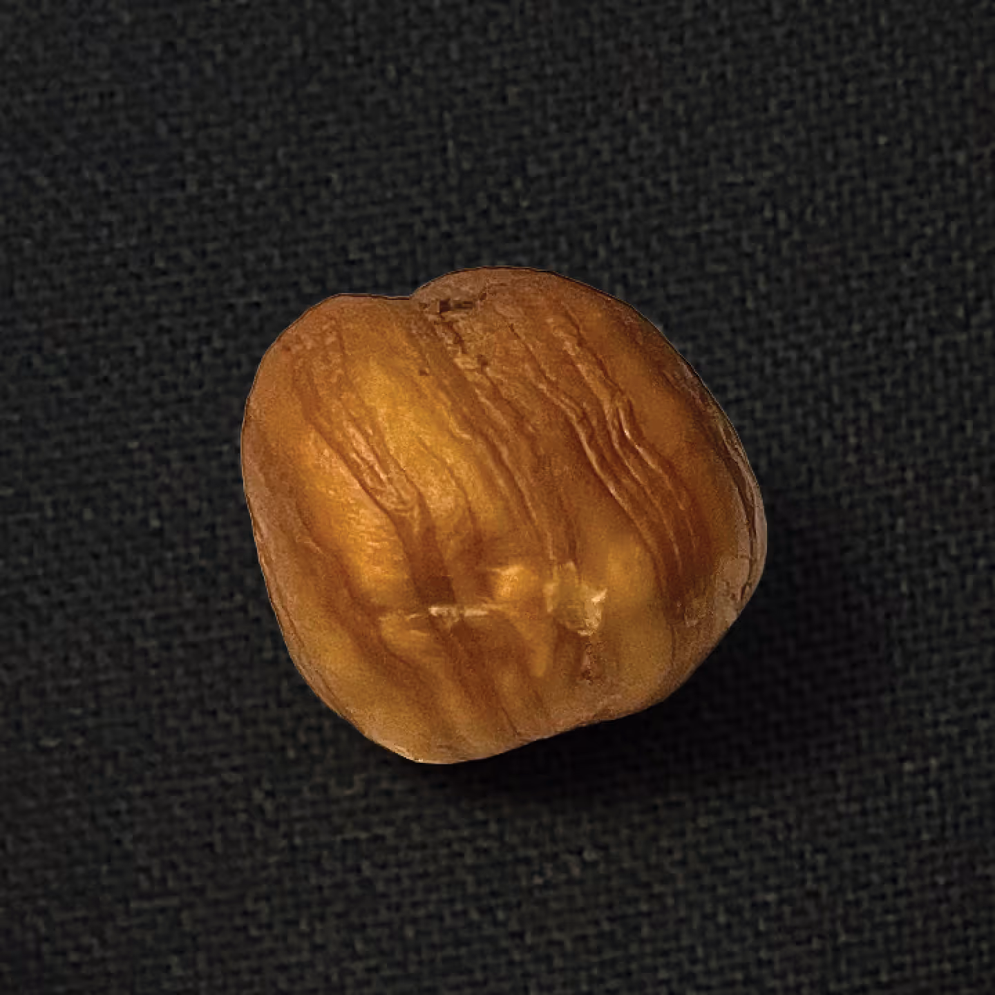 Close-up of a single shelled hazelnut on a dark textured surface.