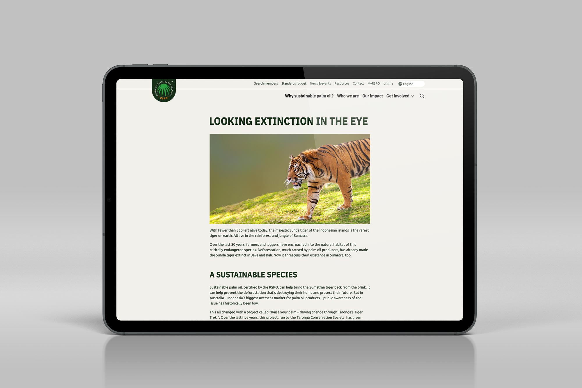 A post about the Sunda tiger is displayed on an iPad.