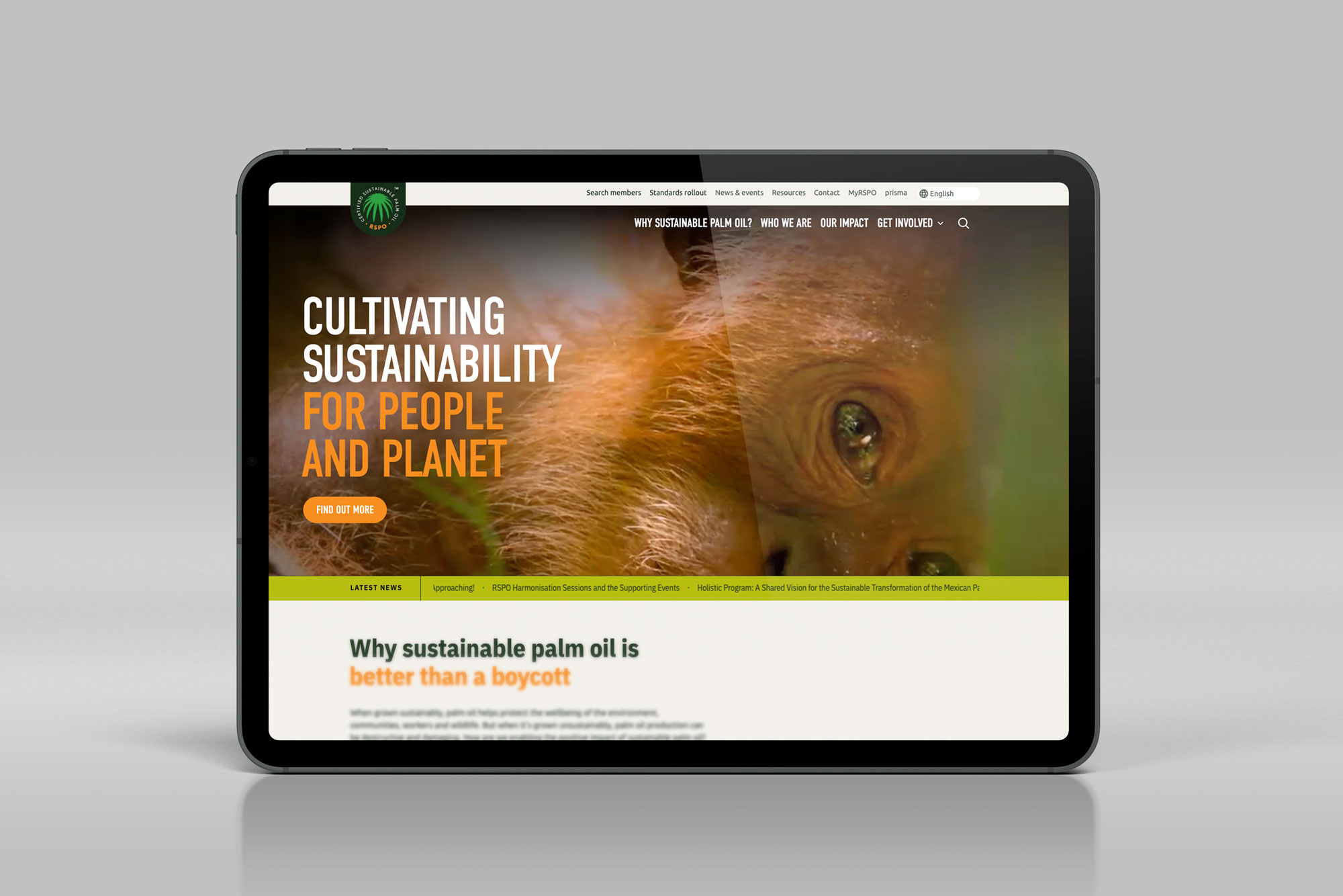 A baby orangutan is on the home page of the RSPO website promoting sustainability