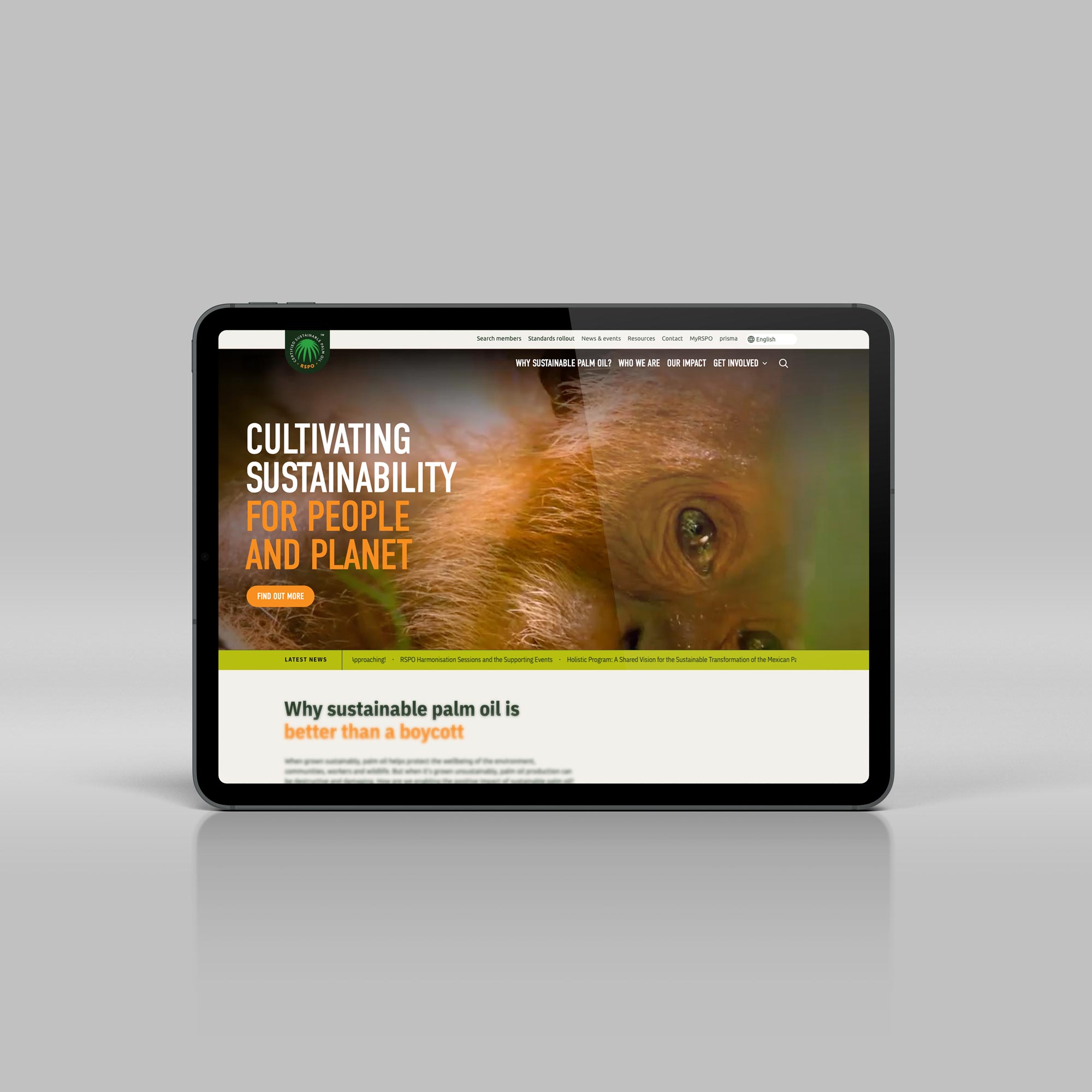 Find out more about RSPO website copy, messaging and tone of voice