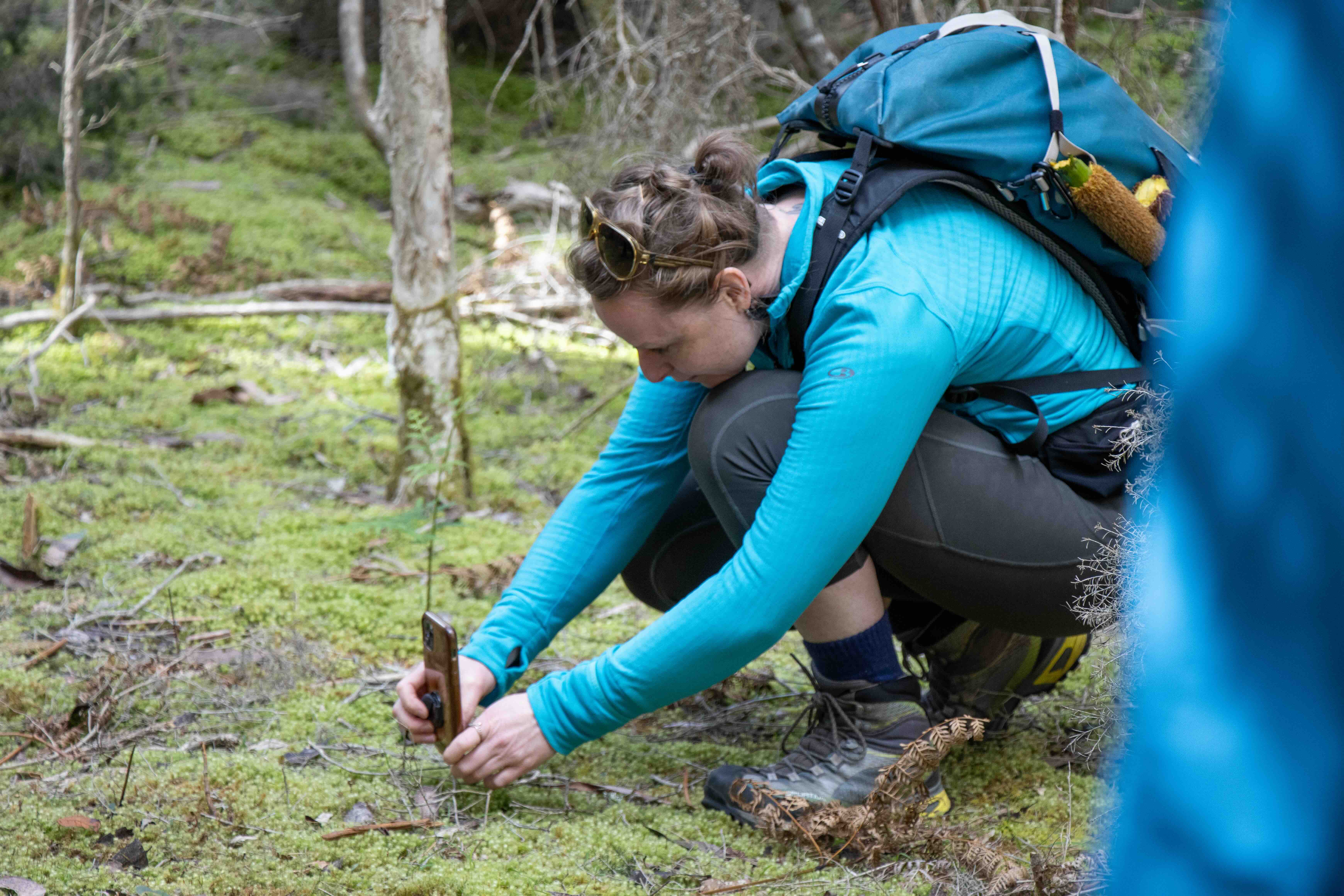 Person wearing a blue jacket and backpack crouching on mossy forest ground while taking a close-up photo with a smartphone.
