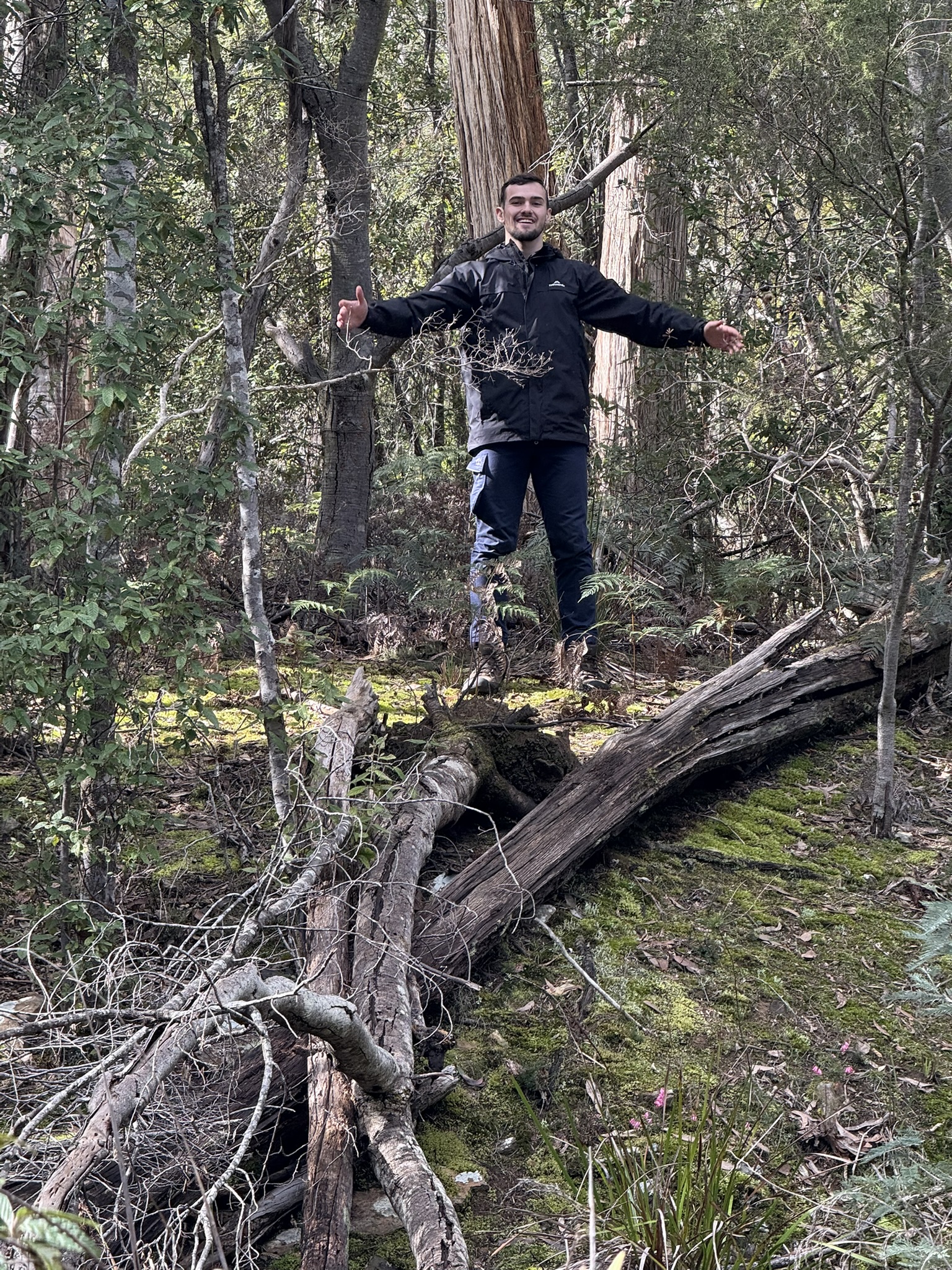 Man in black jacket standing in a dense forest with arms outstretched among trees and moss-covered ground.