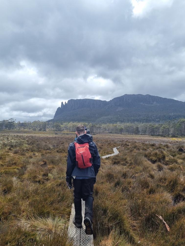 Person with red backpack walking on narrow boardwalk across grassy marshland toward distant mountain under cloudy sky.