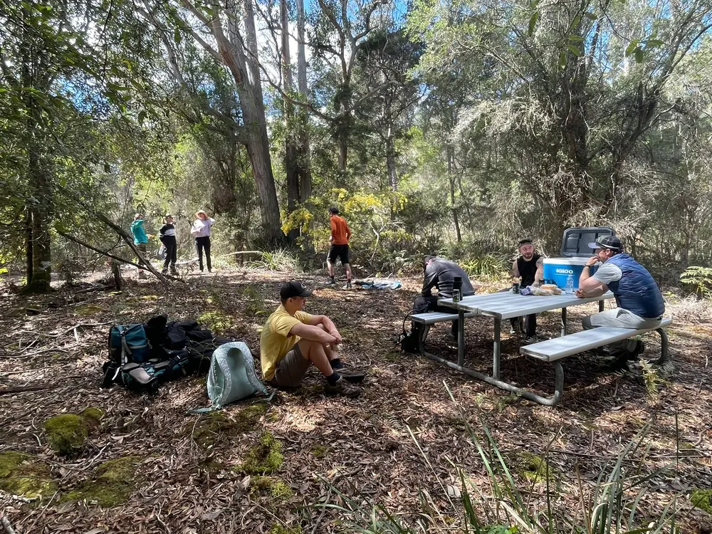 Single-story wooden house with solar panels on the roof, surrounded by green grass and trees under a cloudy sky.