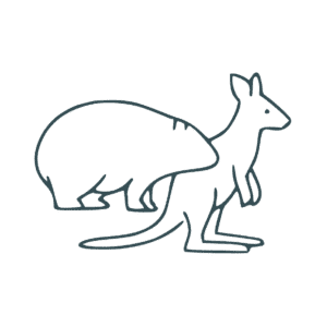 Line icon of a wombat and a kangaroo standing side by side.