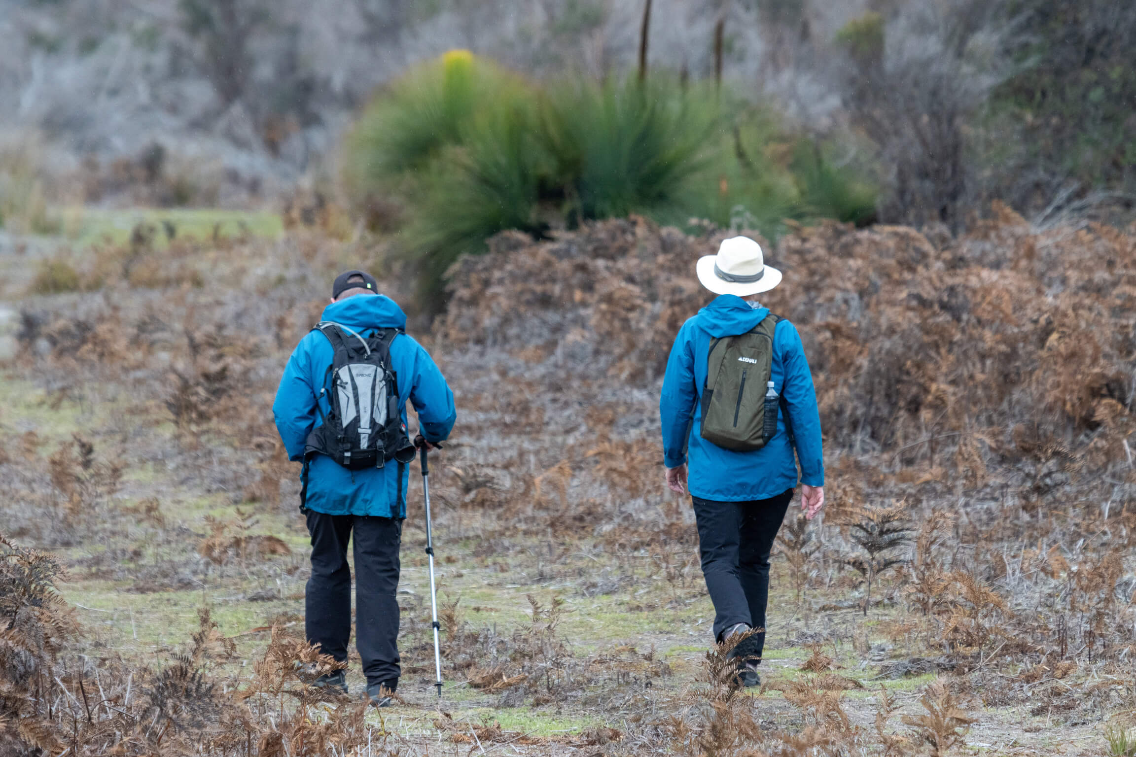 Two hikers wearing blue jackets and backpacks walking on a grassy trail surrounded by dry brown foliage.