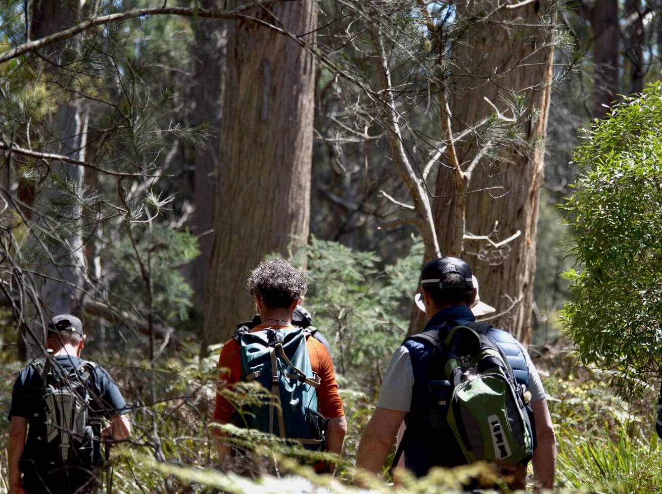 Single-story wooden house with solar panels on the roof, surrounded by green grass and trees under a cloudy sky.