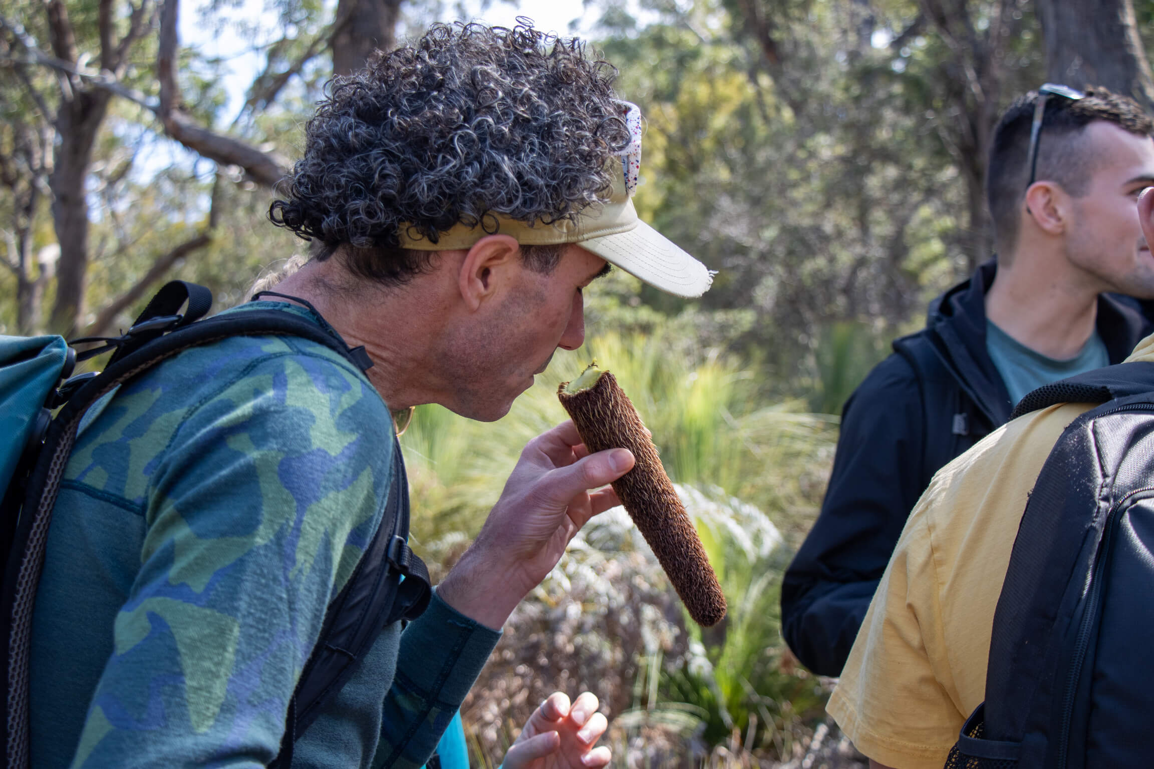 Man with curly hair and visor hat tasting a long brown seed pod in a wooded outdoor setting.