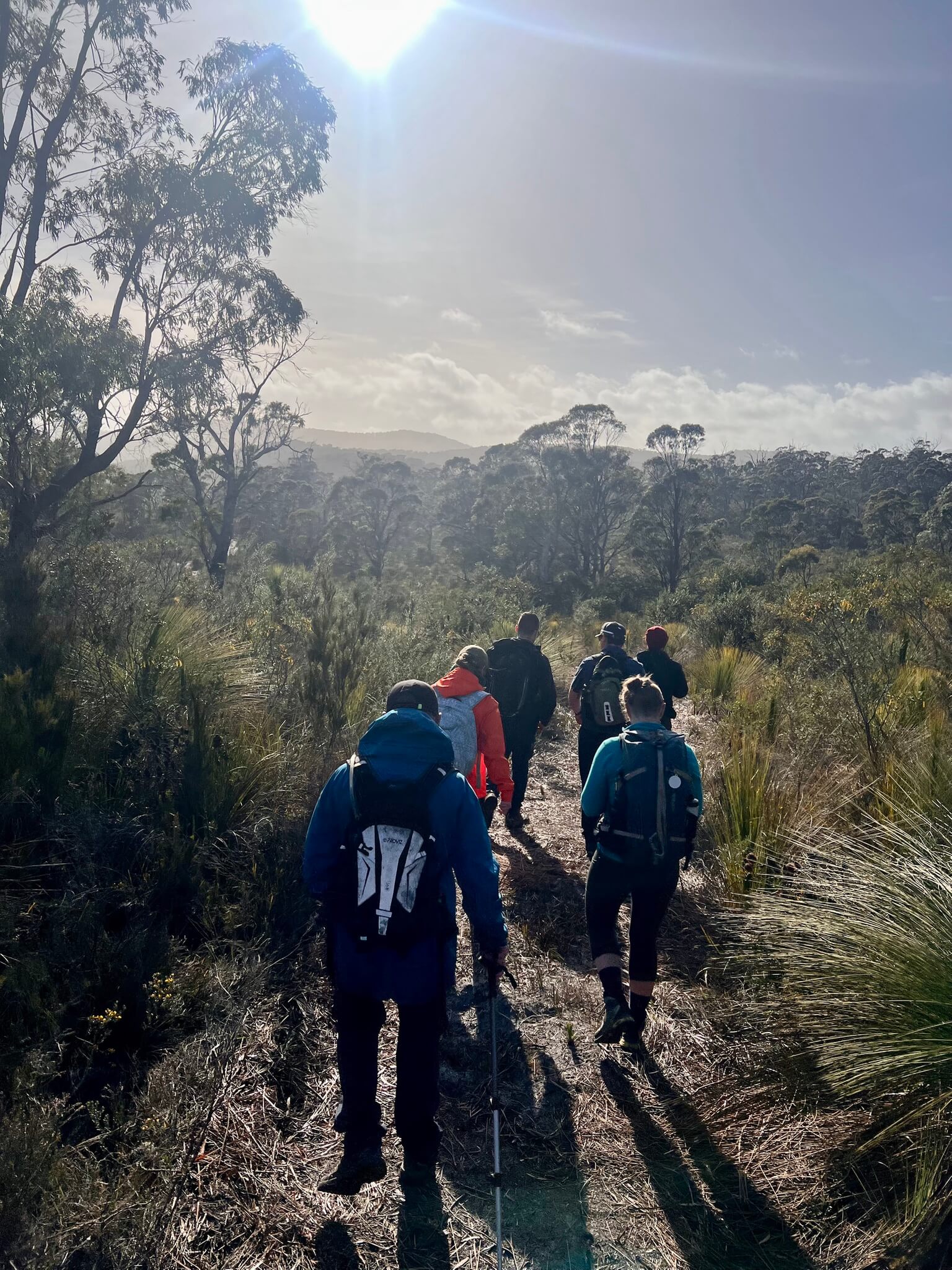 A group of people standing on a large green lawn near a wooden cabin with outdoor seating, surrounded by trees and nature.