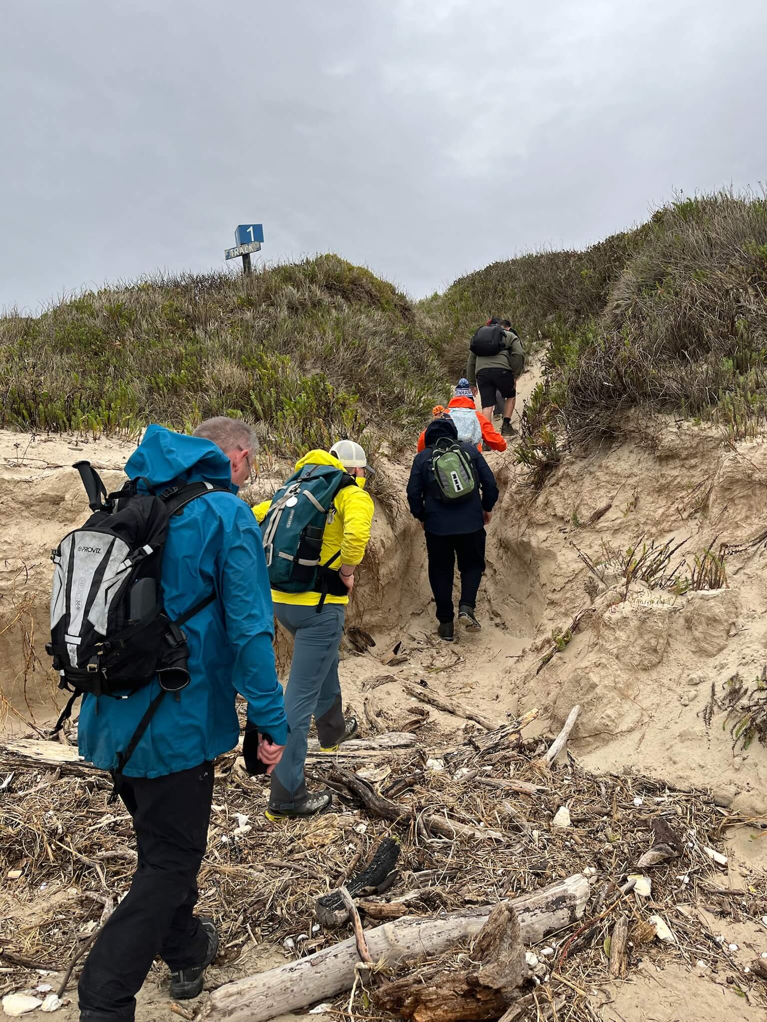 Aerial view of a single-story house with solar panels on the roof, surrounded by green lawn, dirt paths, scattered buildings, and dense forest extending to distant hills under a clear sky.