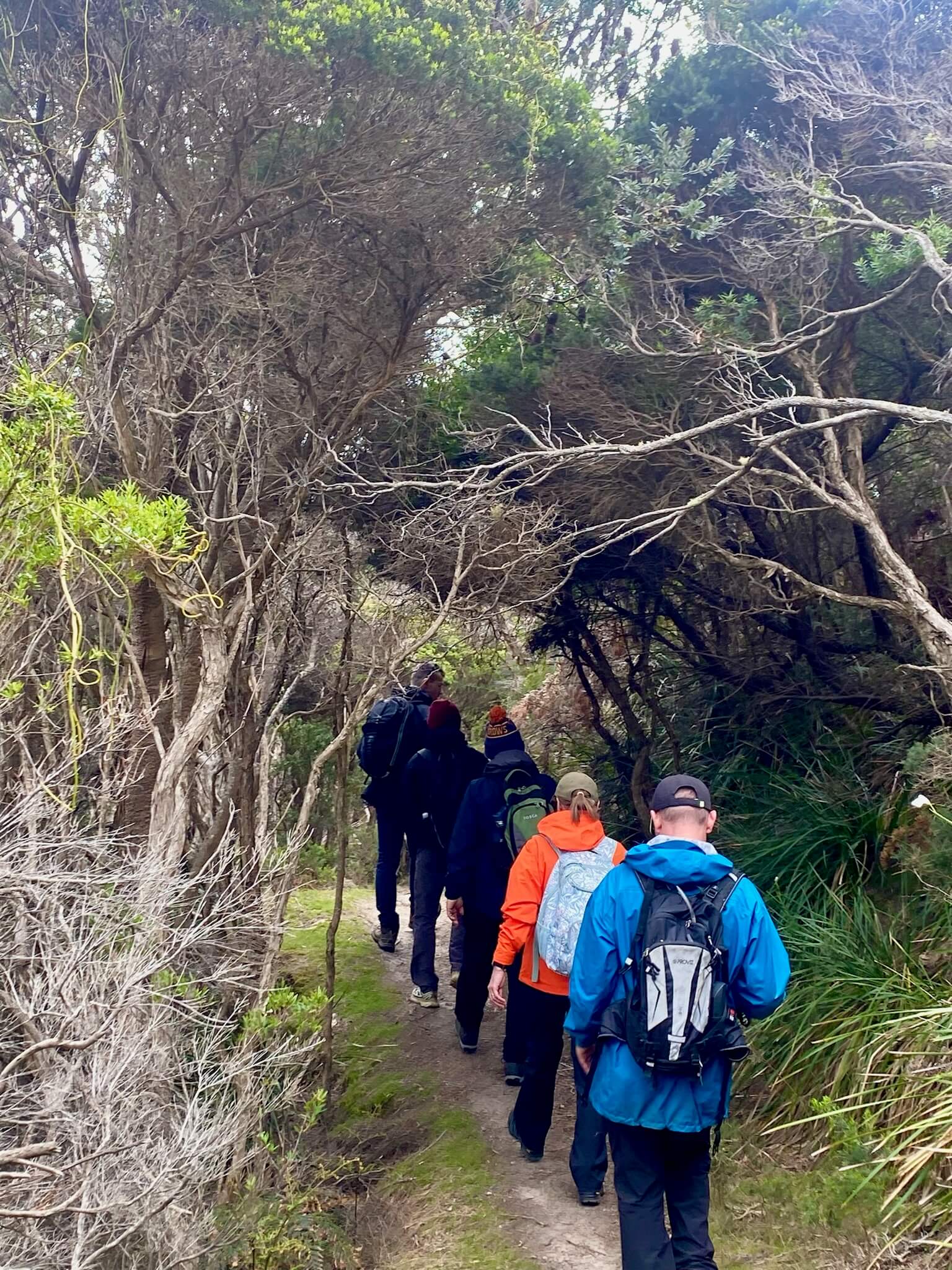 Aerial view of a single-story house with solar panels on the roof, surrounded by green lawn, dirt paths, scattered buildings, and dense forest extending to distant hills under a clear sky.