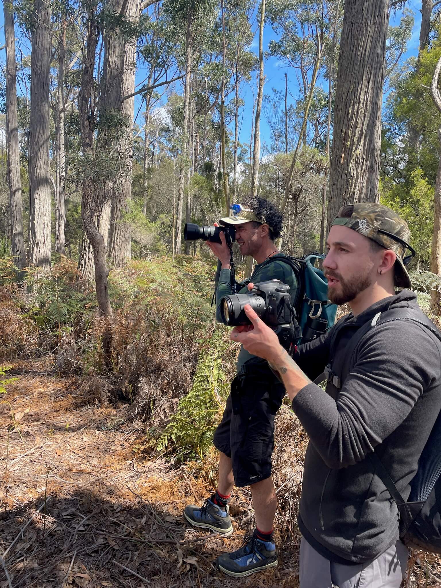 Aerial view of a single-story house with solar panels on the roof, surrounded by green lawn, dirt paths, scattered buildings, and dense forest extending to distant hills under a clear sky.