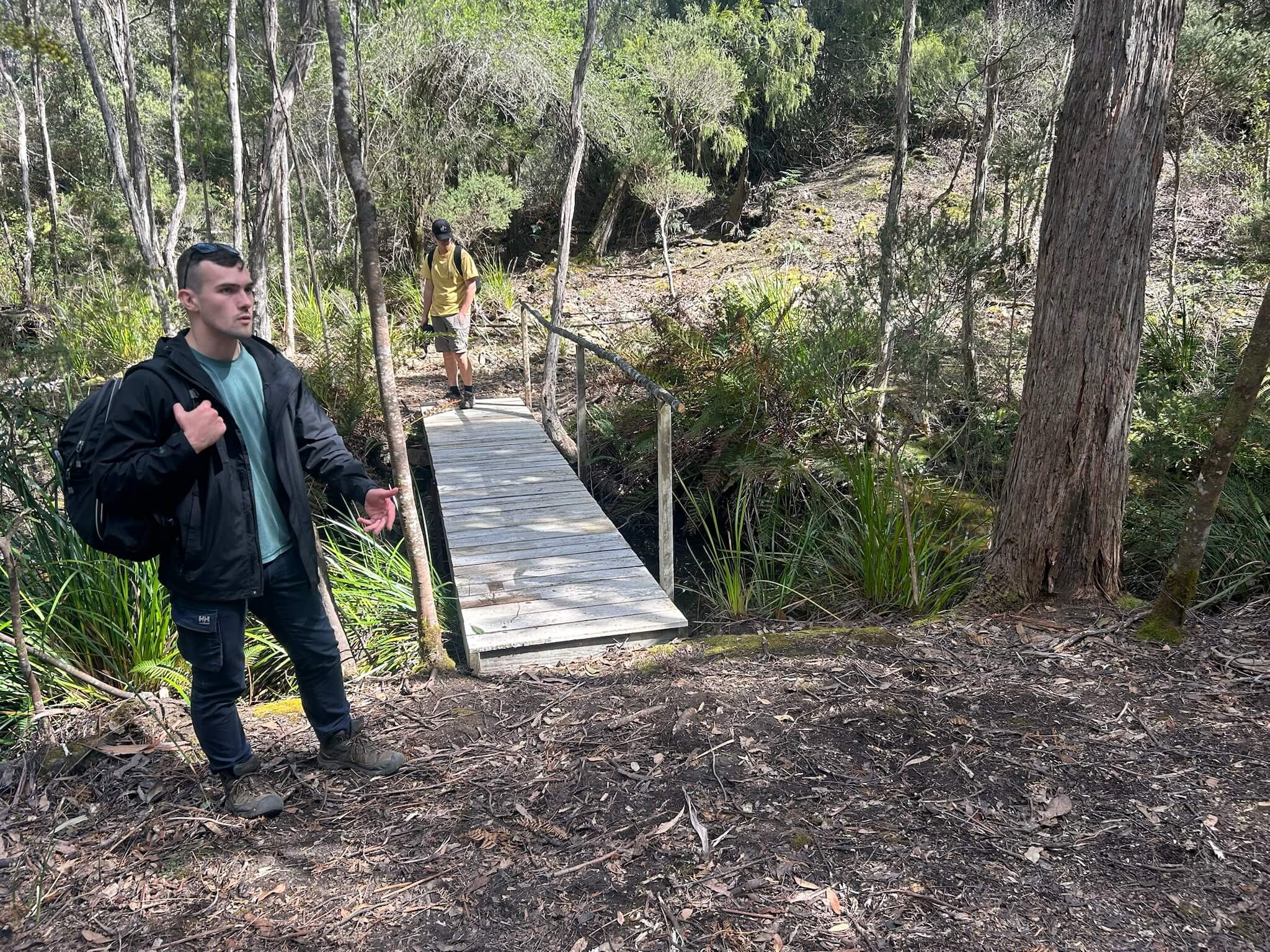 A group of people standing on a large green lawn near a wooden cabin with outdoor seating, surrounded by trees and nature.