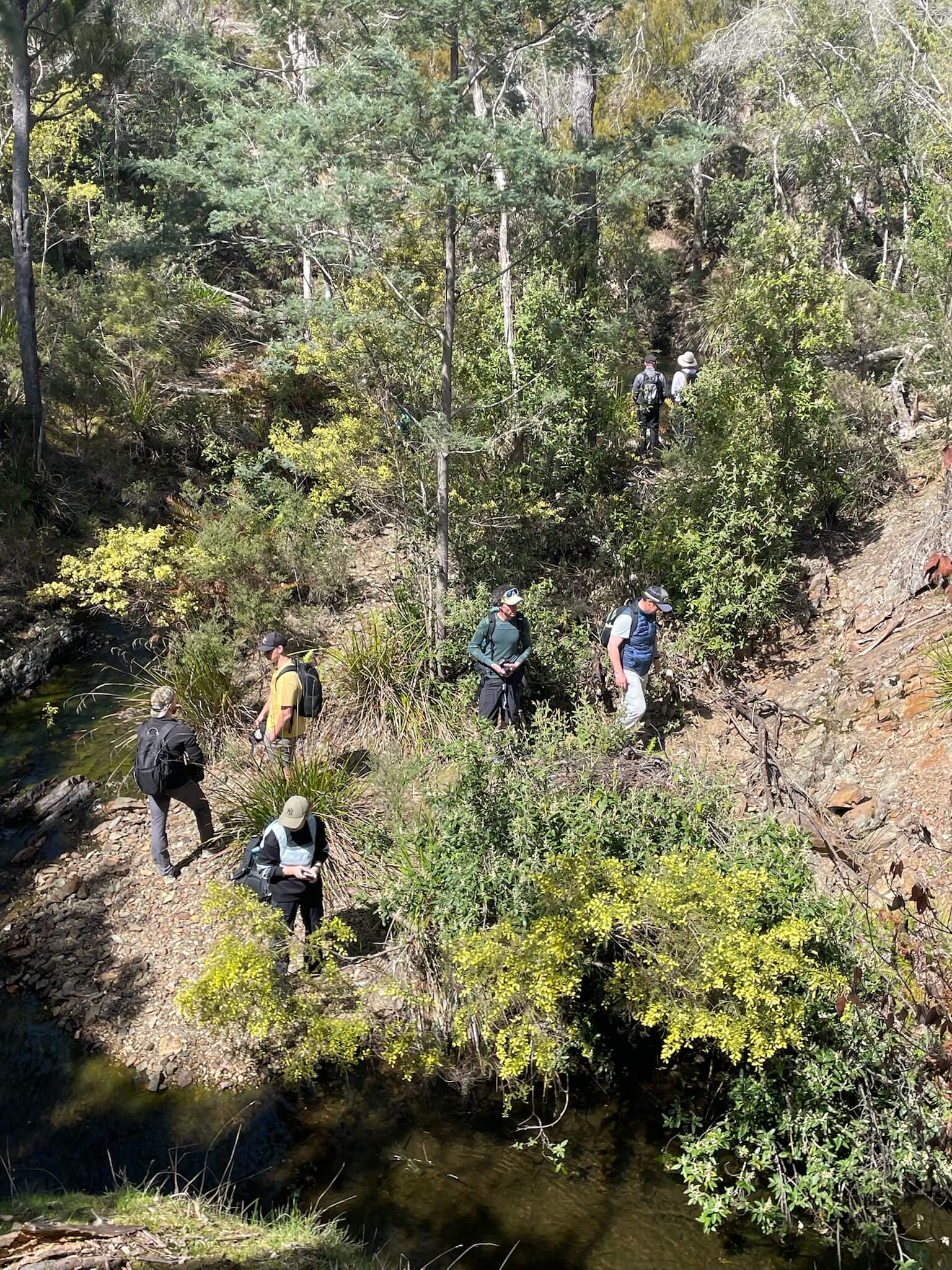 A group of people standing on a large green lawn near a wooden cabin with outdoor seating, surrounded by trees and nature.