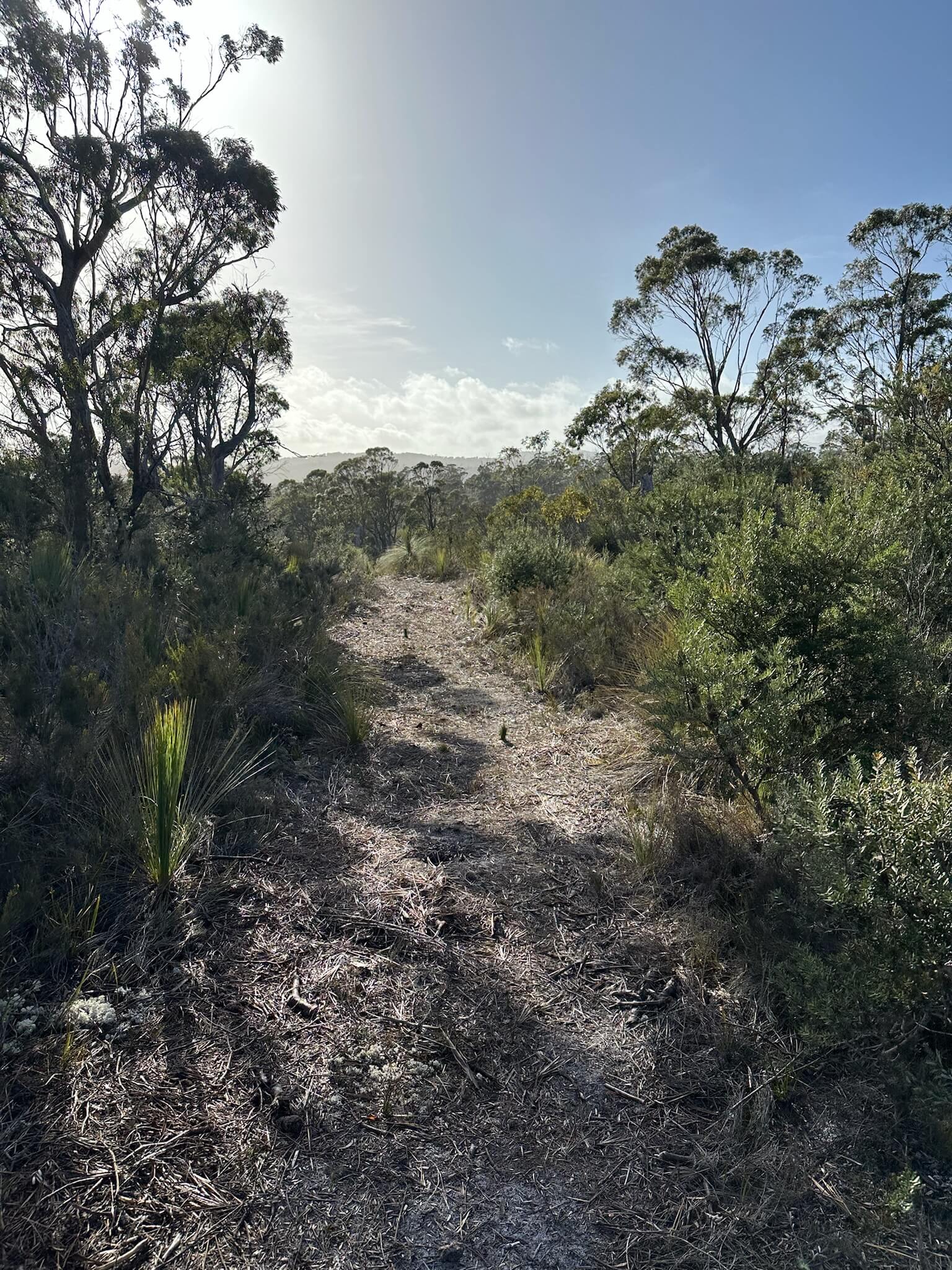 Path leading to a modern wooden house with lit windows and solar panels on the roof, flanked by green lawns and black outdoor chairs under a cloudy sky at dusk.