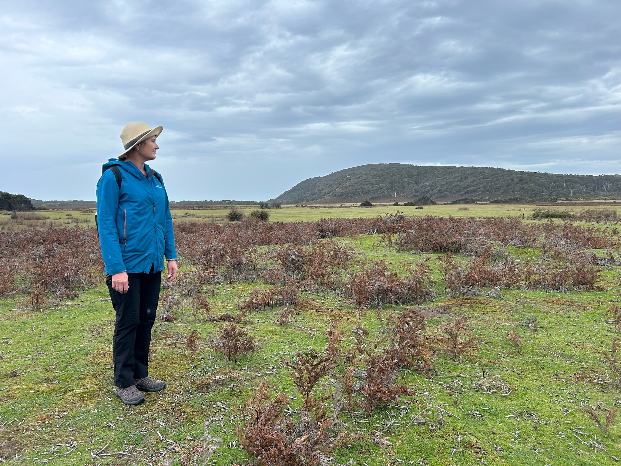 Person wearing a blue jacket and a hat standing on grassy field with dry bushes and a forested hill in the background under a cloudy sky.
