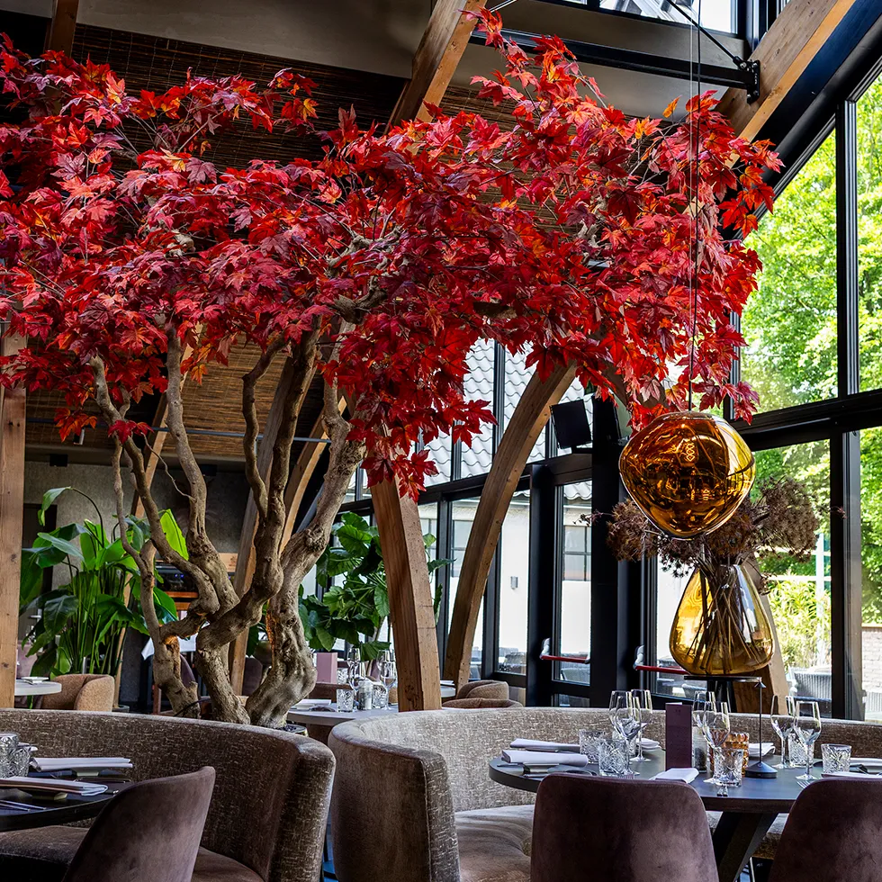Restaurant interieur met grote rode esdoornboom, gezellige zitplaatsen en grote ramen met uitzicht op groene bomen buiten.