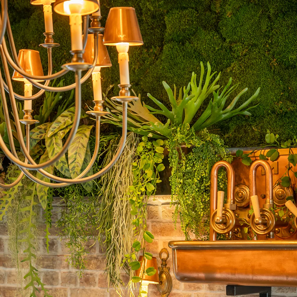 Oude bronzen lampen met kaarsvormige lampen, omringd door groene planten en een moswand op de achtergrond.