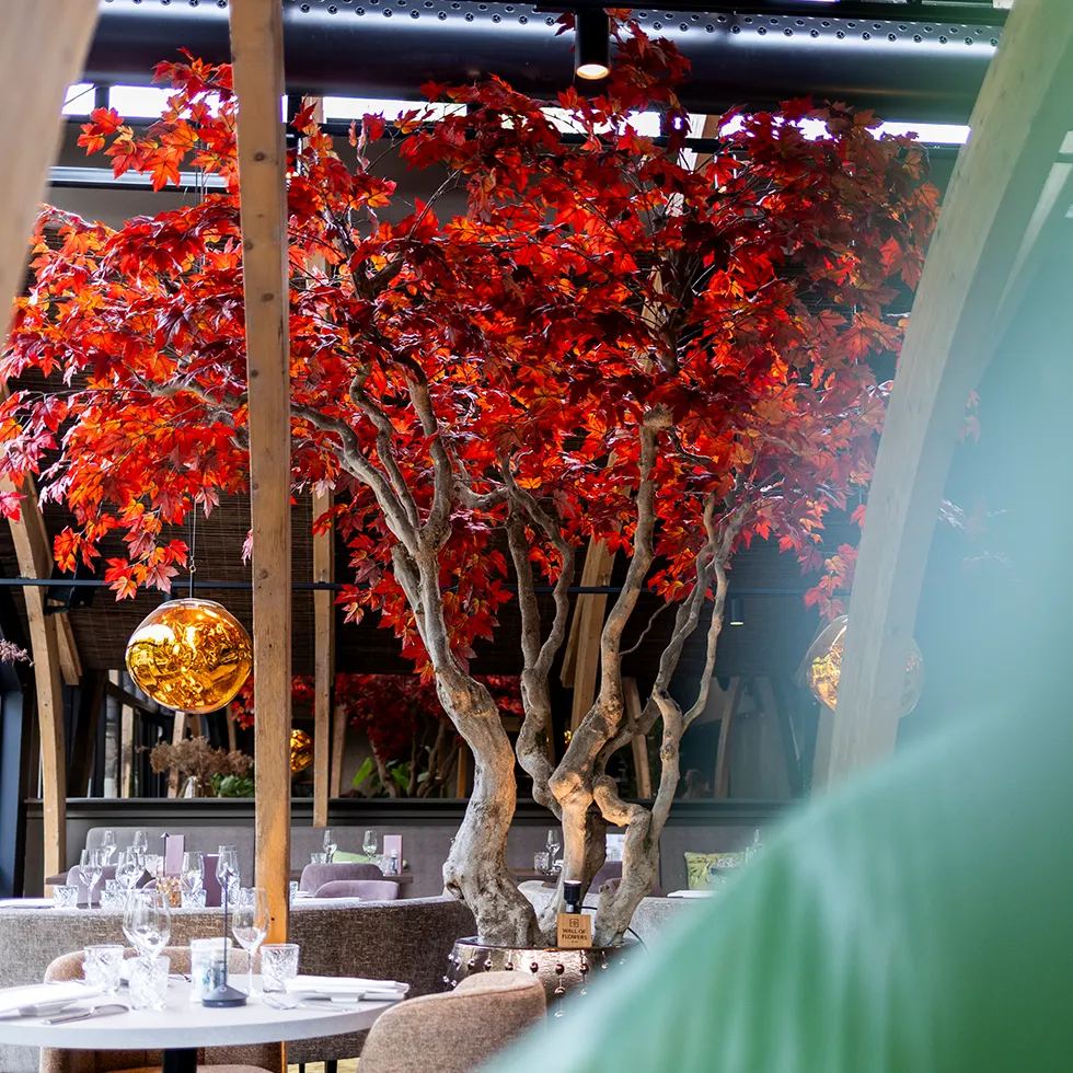 Rode boom met levendige bladeren naast gouden hanglamp in een stijlvol restaurantinterieur.