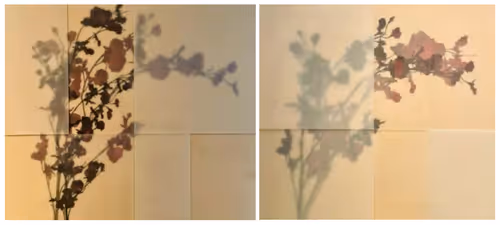 Untitled (wax flowers)