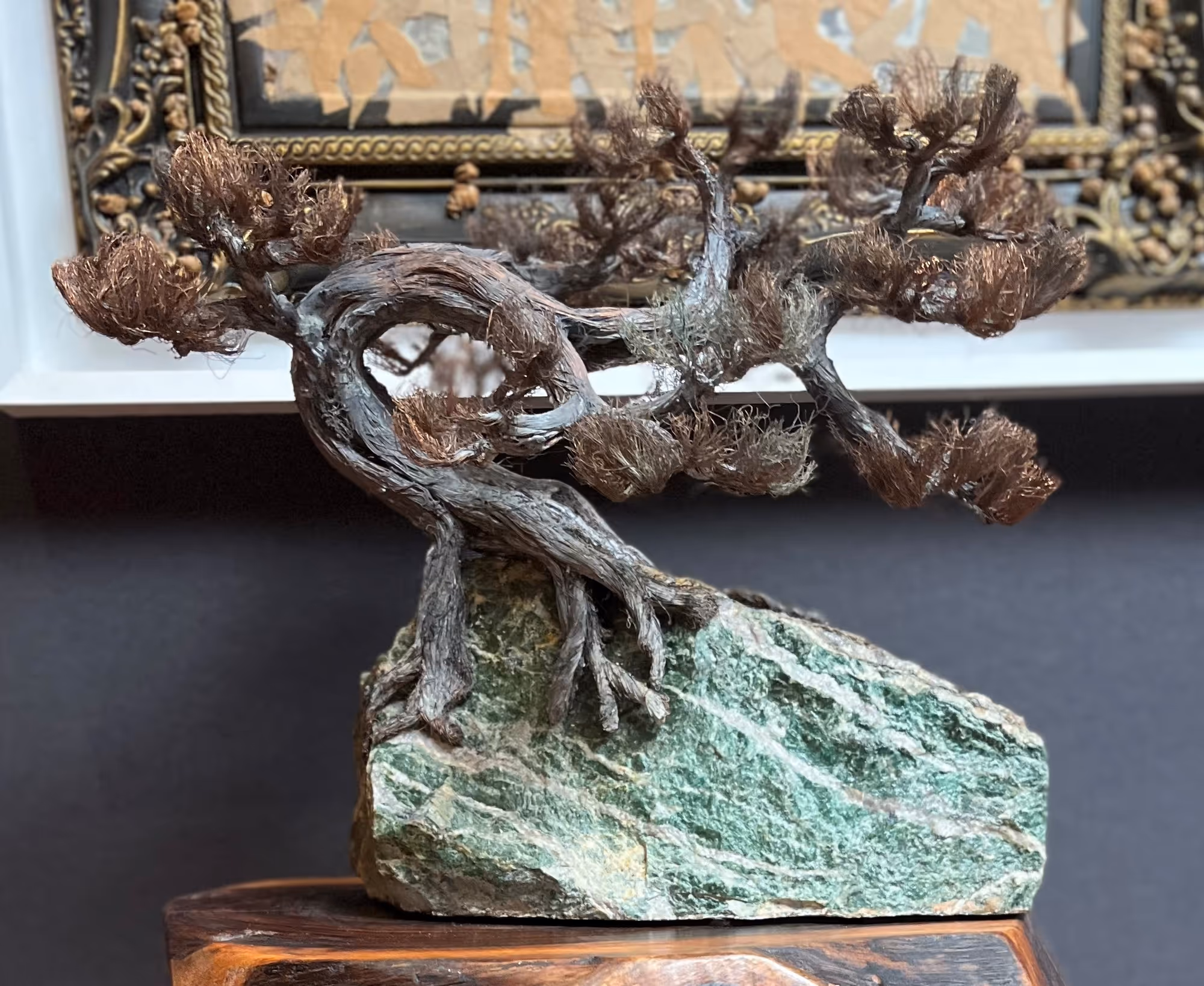 Monterey Cypress Tree