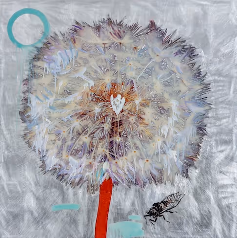 Dandelion with Cicada