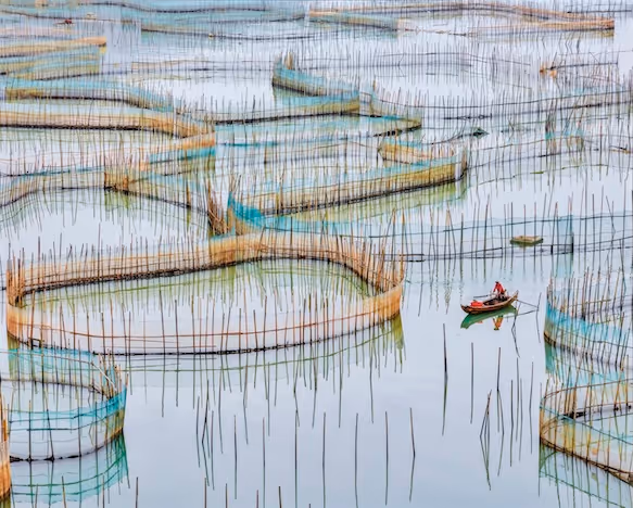 Nets 1 Fujian Provence, China