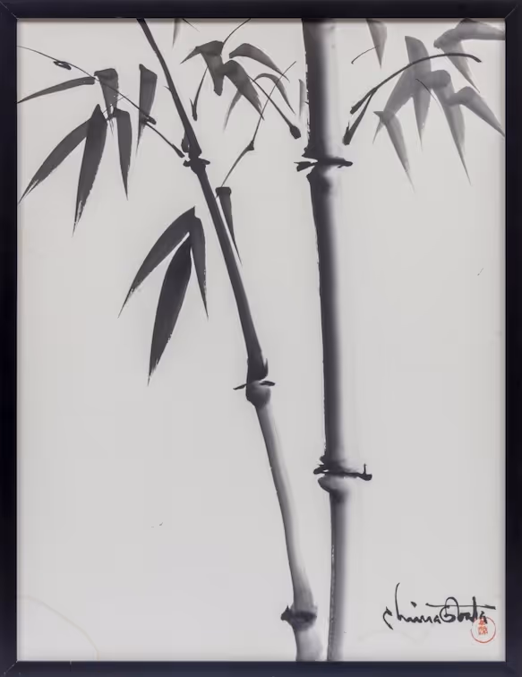 "Bamboo"