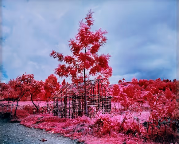 Come Out (1966) XXXVI