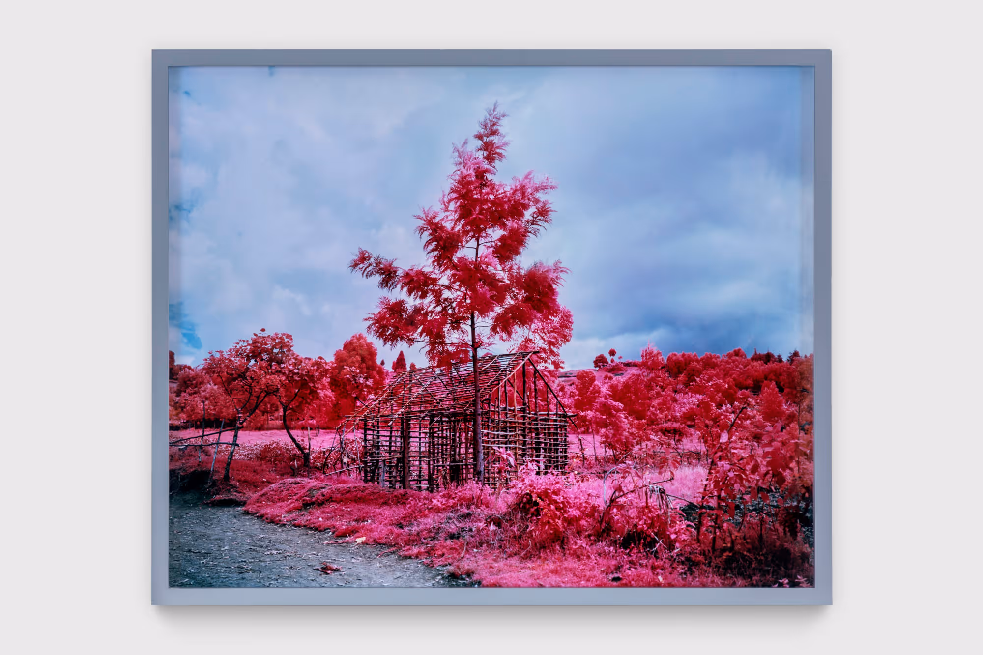 Come Out (1966) XXXVI