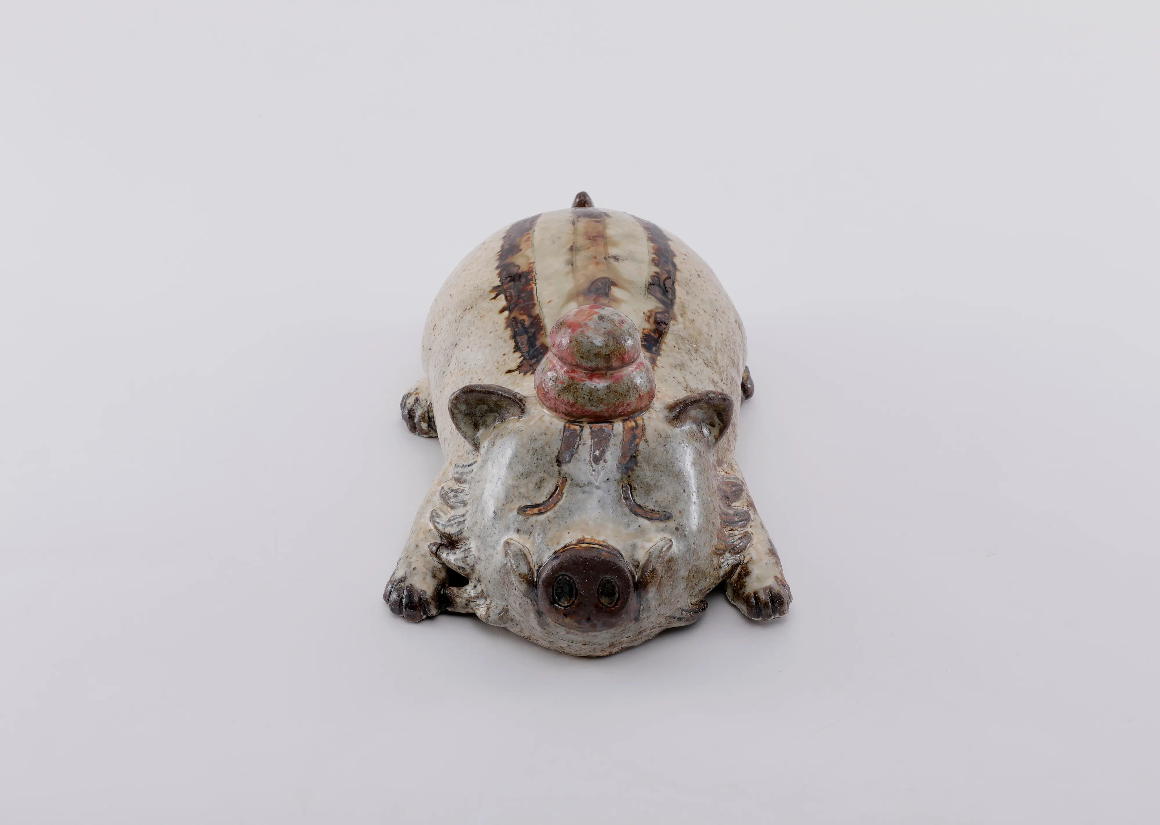 たんこぶイノシシ_Wild Boar with a Bump