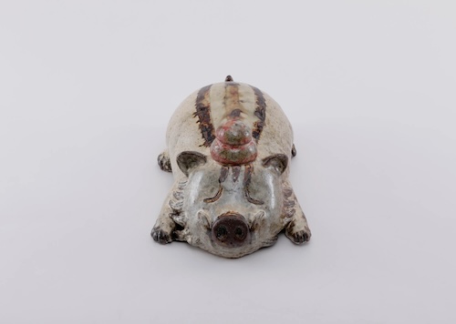たんこぶイノシシ_Wild Boar with a Bump