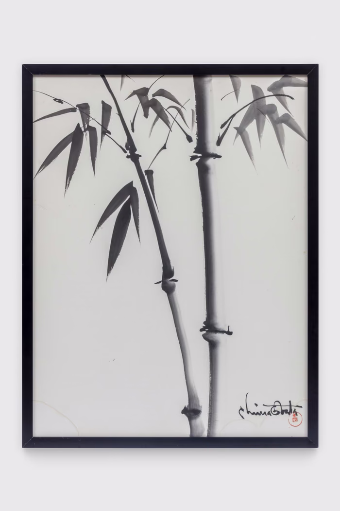 "Bamboo"