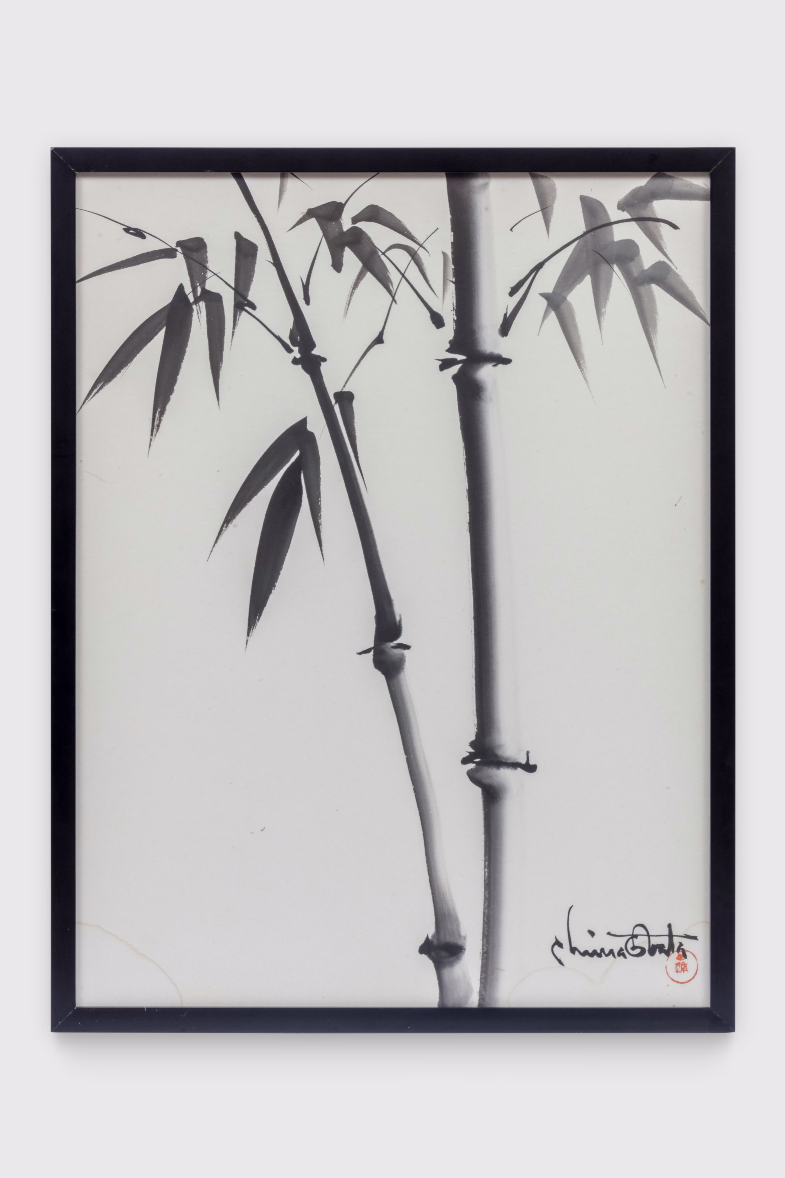"Bamboo"
