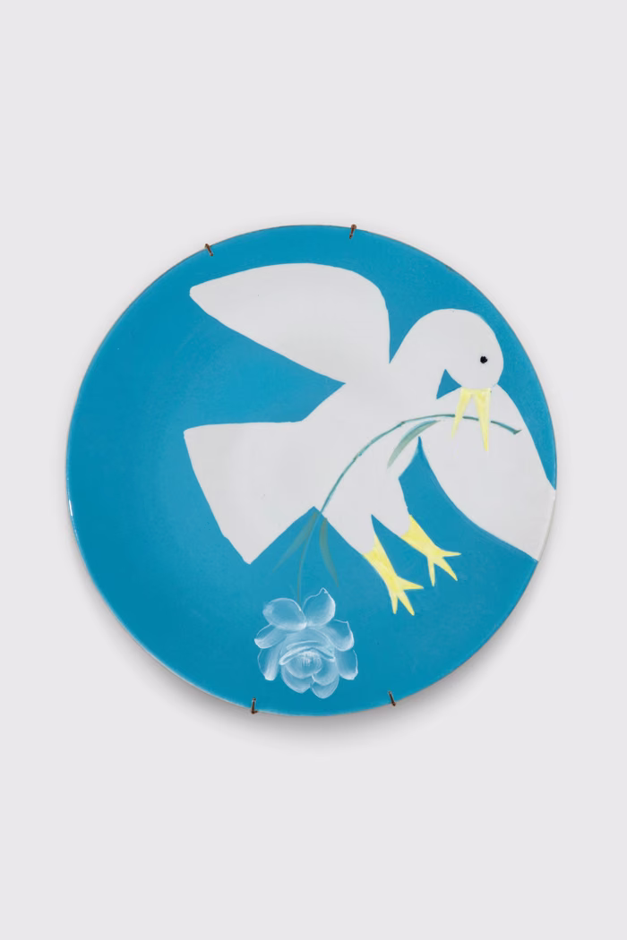 Seagull