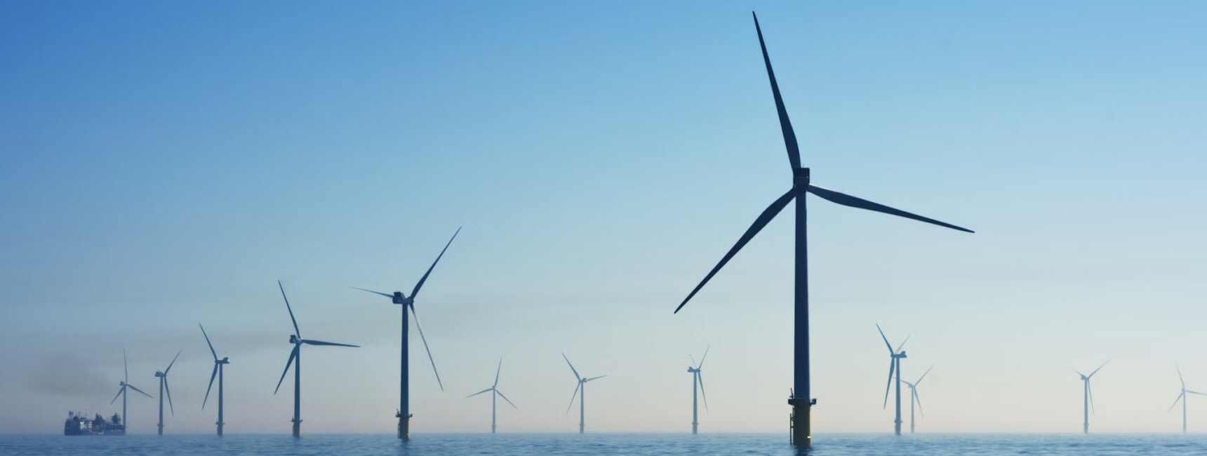 Service Single Image