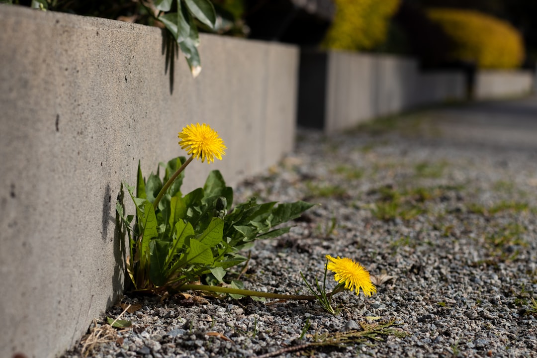 Transform Your Concrete: Free Epoxy Floor Estimates