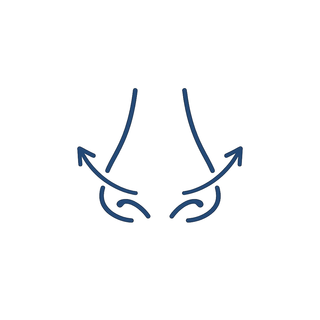 Illustration showing gentle support for opening the nasal passages