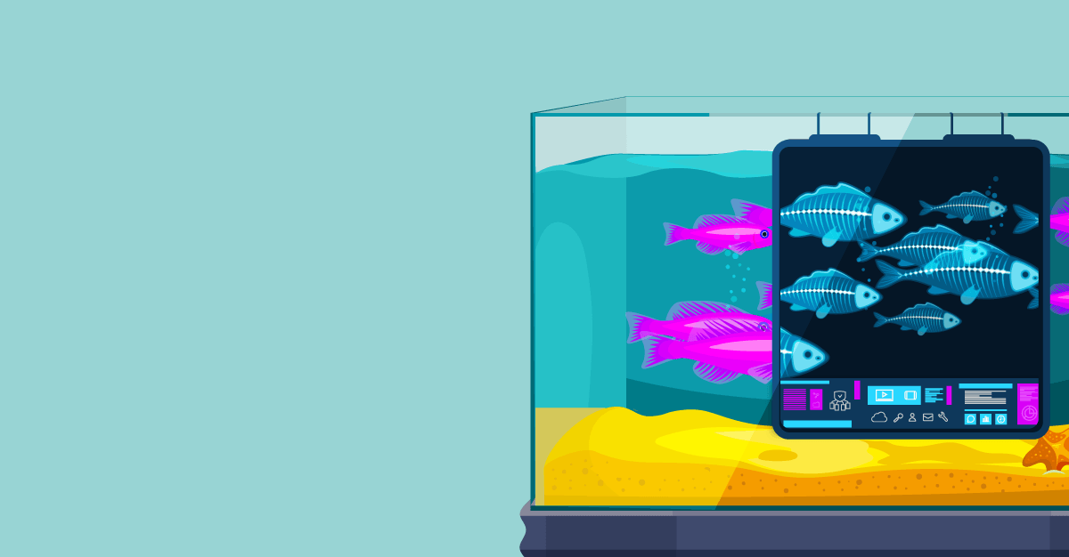The RapDev GlassFish Integration blog thumbnail