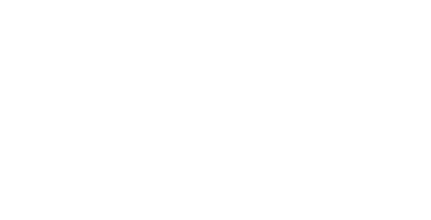 Blank white image with no discernible features or content.