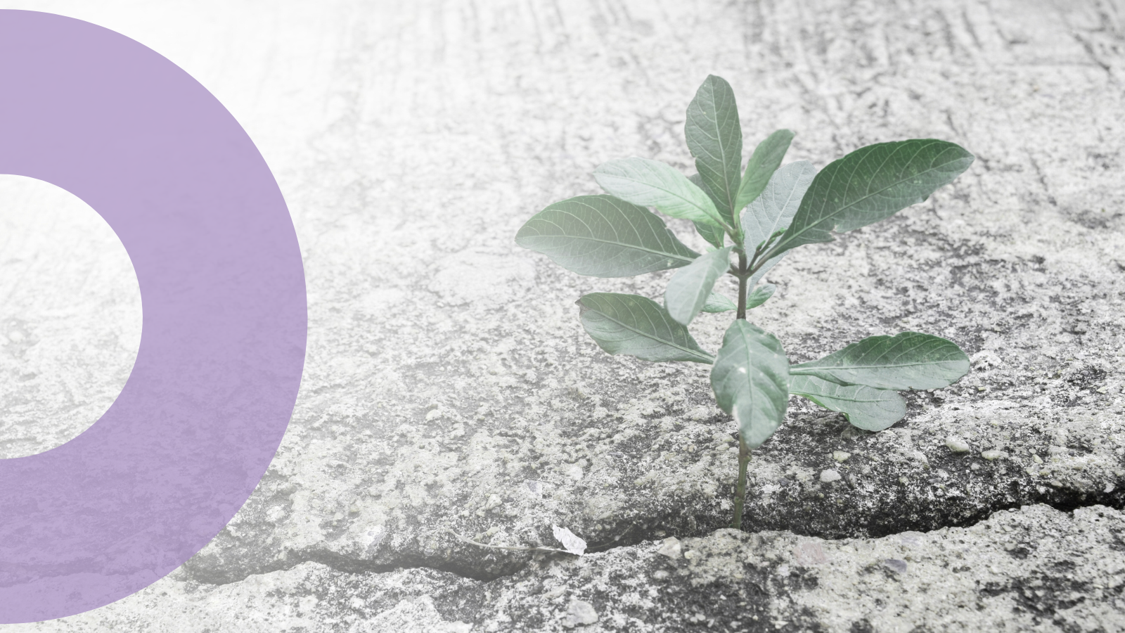 Weaving knowledge and action: Integrating research and projects in 2024