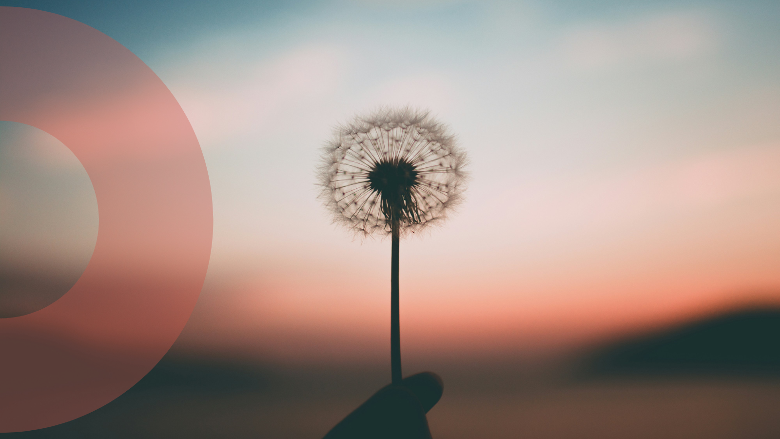 We're planting seeds in 2025