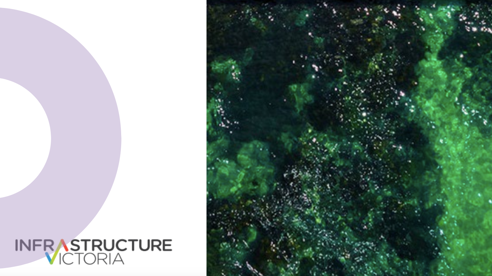 Regen Melbourne's vision for Doughnut-shaped infrastructure